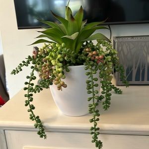 Bundle 5 Faux succulent - multiple sizes from small, medium and large